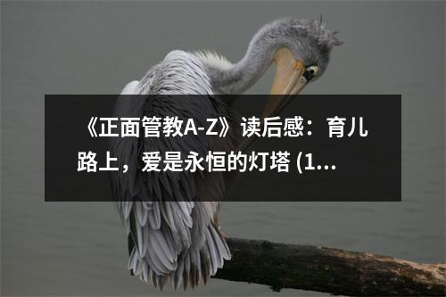 《正面管教A-Z》讀后感：育兒路上，愛是永恒的燈塔 (1100字)