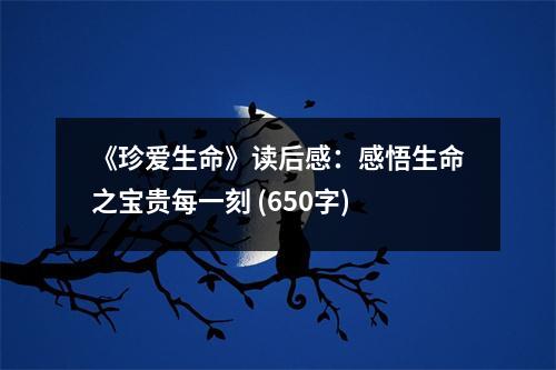 《珍愛生命》讀后感：感悟生命之寶貴每一刻 (650字)