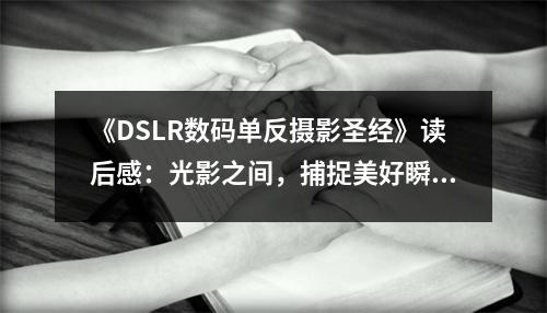 《DSLR數(shù)碼單反攝影圣經(jīng)》讀后感：光影之間，捕捉美好瞬間 (800字)