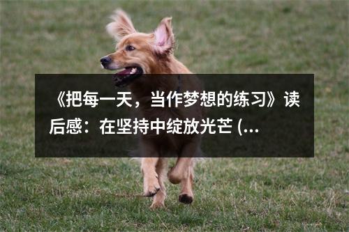 《把每一天，當作夢想的練習(xí)》讀后感：在堅持中綻放光芒 (800字)