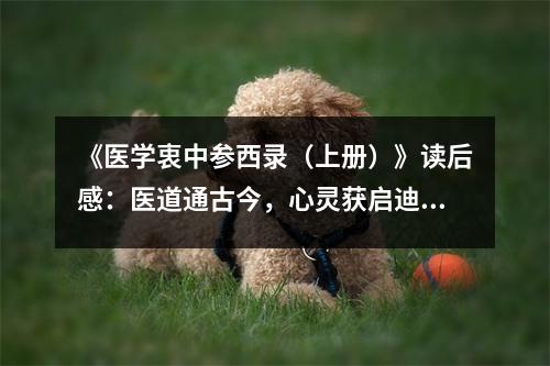 《醫(yī)學(xué)衷中參西錄（上冊(cè)）》讀后感：醫(yī)道通古今，心靈獲啟迪 (700字)