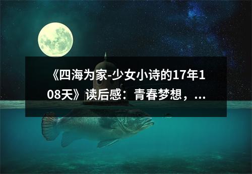 《四海為家-少女小詩的17年108天》讀后感：青春夢想，家國情懷共飛揚 (1050字)