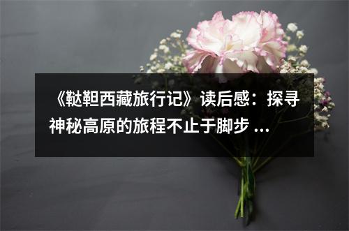 《韃靼西藏旅行記》讀后感：探尋神秘高原的旅程不止于腳步 (900字)