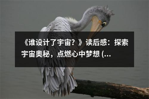 《誰(shuí)設(shè)計(jì)了宇宙？》讀后感：探索宇宙奧秘，點(diǎn)燃心中夢(mèng)想 (850字)