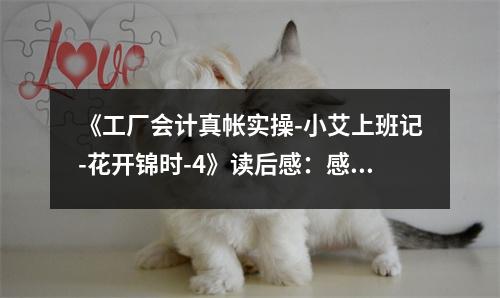 《工廠會計(jì)真帳實(shí)操-小艾上班記-花開錦時(shí)-4》讀后感：感悟會計(jì)人生路，花開錦時(shí)笑顏開 (900字)