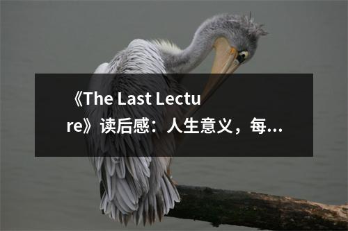 《The Last Lecture》讀后感：人生意義，每一步都值得銘記 (850字)