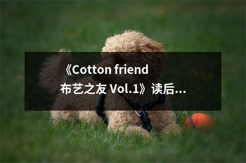 《Cotton friend 布藝之友 Vol.1》讀后感：布滿生活色彩的藝術(shù)之旅 (700字)