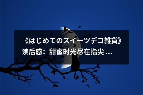 《はじめてのスイーツデコ雑貨》讀后感：甜蜜時(shí)光盡在指尖 (700字)