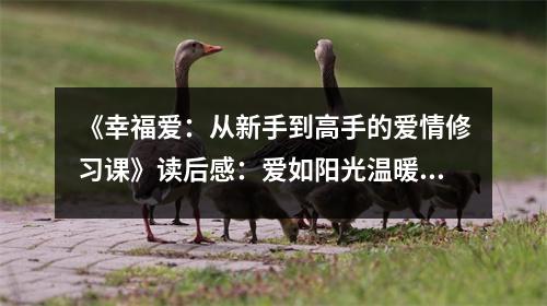 《幸福愛：從新手到高手的愛情修習(xí)課》讀后感：愛如陽光溫暖心靈 (650字)