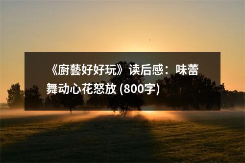 《廚藝好好玩》讀后感：味蕾舞動心花怒放 (800字)