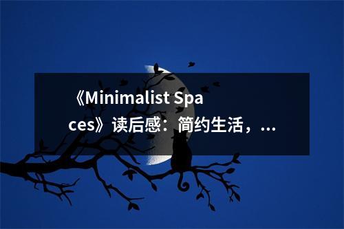 《Minimalist Spaces》讀后感：簡約生活，盡享寧靜之美 (700字)
