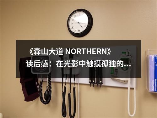 《森山大道 NORTHERN》讀后感：在光影中觸摸孤獨的靈魂 (800字)