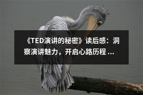 《TED演講的秘密》讀后感：洞察演講魅力，開啟心路歷程 (1100字)