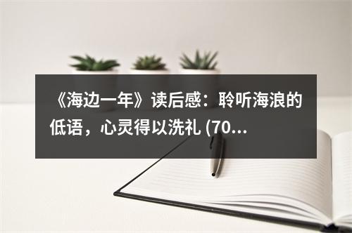 《海邊一年》讀后感：聆聽海浪的低語(yǔ)，心靈得以洗禮 (700字)