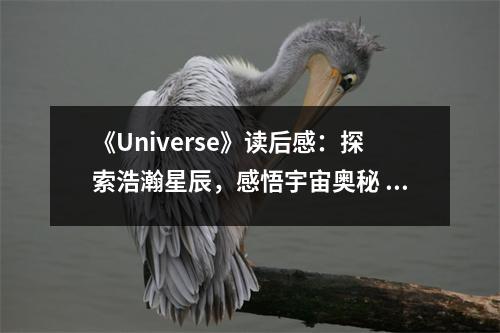 《Universe》讀后感：探索浩瀚星辰，感悟宇宙奧秘 (750字)