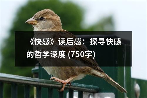 《快感》讀后感：探尋快感的哲學深度 (750字)