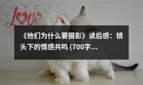 《他們?yōu)槭裁匆獢z影》讀后感：鏡頭下的情感共鳴 (700字)