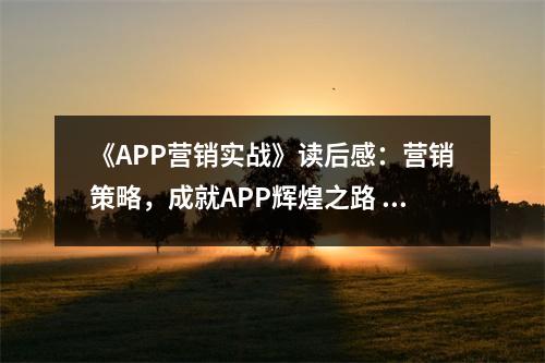 《APP營銷實戰(zhàn)》讀后感：營銷策略，成就APP輝煌之路 (950字)