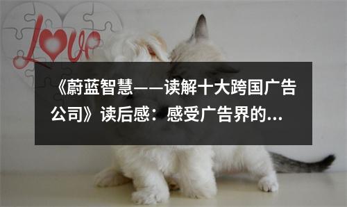 《蔚藍(lán)智慧——讀解十大跨國廣告公司》讀后感：感受廣告界的璀璨星空 (900字)
