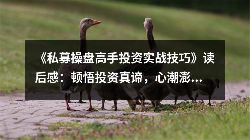《私募操盤(pán)高手投資實(shí)戰(zhàn)技巧》讀后感：頓悟投資真諦，心潮澎湃不已 (750字)