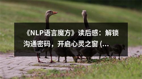 《NLP語言魔方》讀后感：解鎖溝通密碼，開啟心靈之窗 (800字)