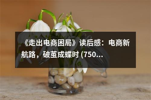 《走出電商困局》讀后感：電商新航路，破繭成蝶時 (750字)