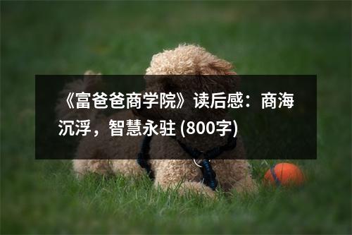 《富爸爸商學(xué)院》讀后感：商海沉浮，智慧永駐 (800字)