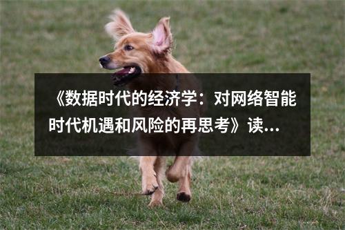 《數(shù)據(jù)時代的經(jīng)濟(jì)學(xué)：對網(wǎng)絡(luò)智能時代機遇和風(fēng)險的再思考》讀后感：智慧涌動，未來可期 (950字)
