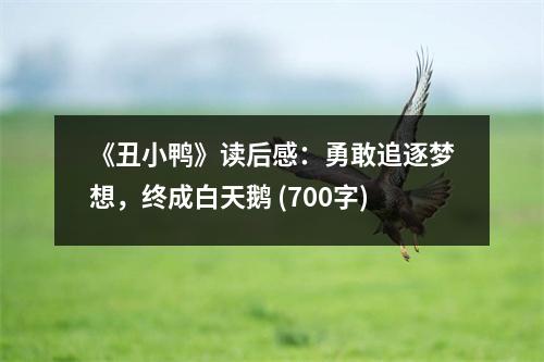 《丑小鴨》讀后感：勇敢追逐夢想，終成白天鵝 (700字)