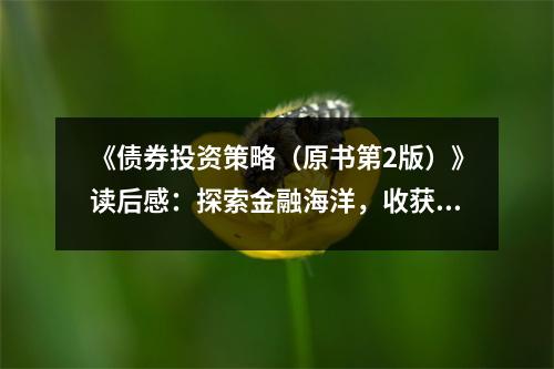 《債券投資策略（原書(shū)第2版）》讀后感：探索金融海洋，收獲穩(wěn)健之舟 (800字)