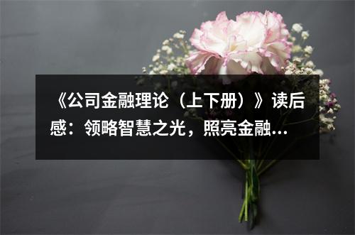《公司金融理論（上下冊）》讀后感：領(lǐng)略智慧之光，照亮金融未來 (800字)