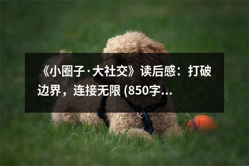 《小圈子·大社交》讀后感：打破邊界，連接無(wú)限 (850字)