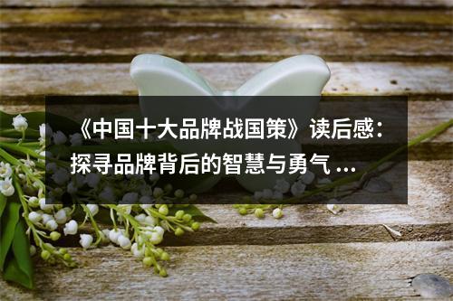 《中國十大品牌戰(zhàn)國策》讀后感：探尋品牌背后的智慧與勇氣 (750字)