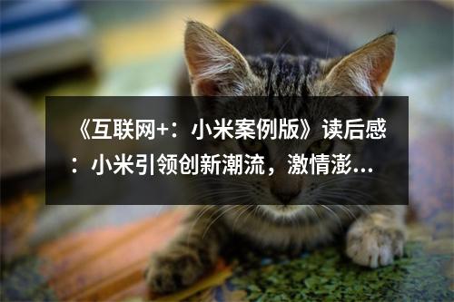 《互聯(lián)網(wǎng)+：小米案例版》讀后感：小米引領(lǐng)創(chuàng)新潮流，激情澎湃共筑未來 (1000字)