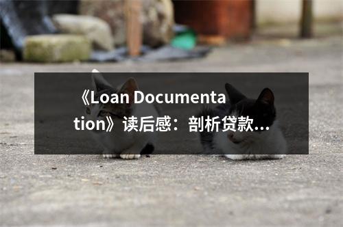 《Loan Documentation》讀后感：剖析貸款奧秘，洞悉金融世界 (700字)