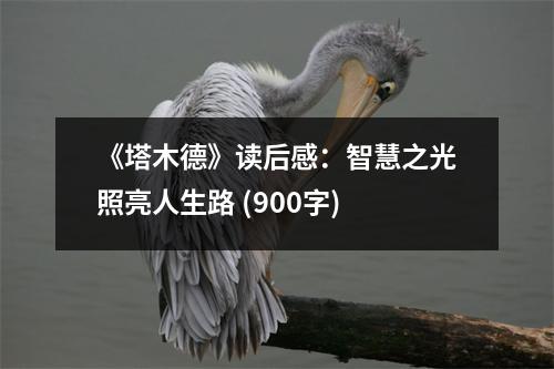 《塔木德》讀后感：智慧之光照亮人生路 (900字)