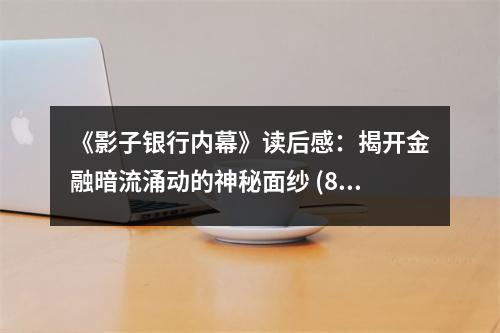 《影子銀行內幕》讀后感：揭開金融暗流涌動的神秘面紗 (800字)