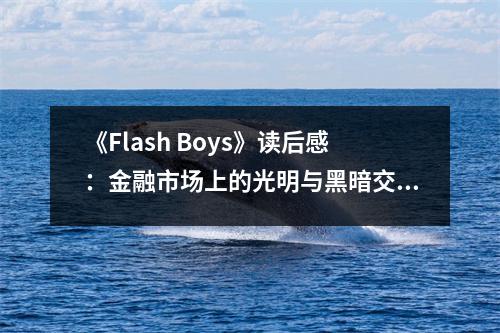 《Flash Boys》讀后感：金融市場上的光明與黑暗交織 (750字)