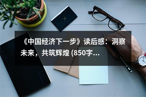 《中國經(jīng)濟(jì)下一步》讀后感：洞察未來，共筑輝煌 (850字)