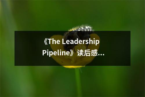 《The Leadership Pipeline》讀后感：探尋領(lǐng)導力的秘密源泉 (800字)