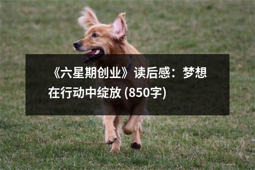 《六星期創(chuàng)業(yè)》讀后感：夢想在行動(dòng)中綻放 (850字)