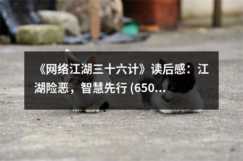 《網絡江湖三十六計》讀后感：江湖險惡，智慧先行 (650字)