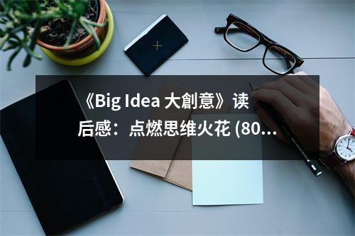 《Big Idea 大創(chuàng)意》讀后感：點燃思維火花 (800字)