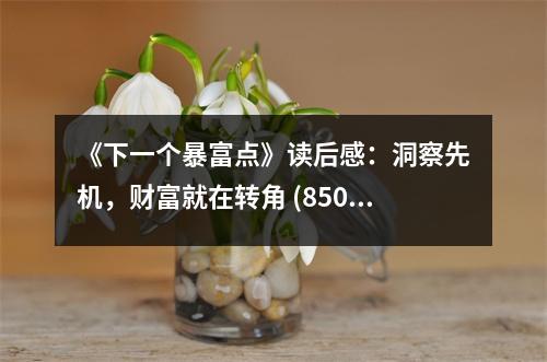 《下一個暴富點》讀后感：洞察先機，財富就在轉(zhuǎn)角 (850字)