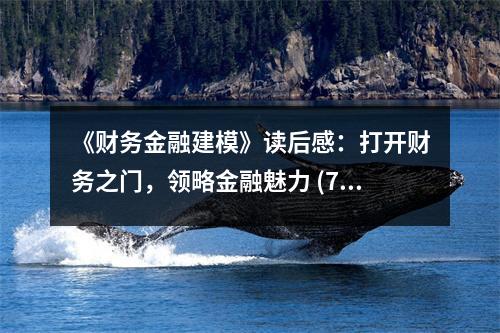 《財務金融建模》讀后感：打開財務之門，領略金融魅力 (700字)