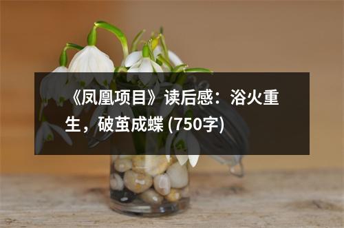 《鳳凰項目》讀后感：浴火重生，破繭成蝶 (750字)