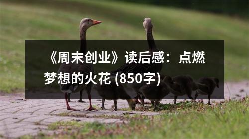 《周末創(chuàng)業(yè)》讀后感：點燃夢想的火花 (850字)