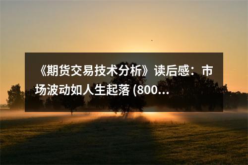《期貨交易技術分析》讀后感：市場波動如人生起落 (800字)