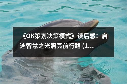《OK策劃決策模式》讀后感：啟迪智慧之光照亮前行路 (1050字)