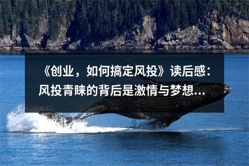 《創(chuàng)業(yè)，如何搞定風(fēng)投》讀后感：風(fēng)投青睞的背后是激情與夢(mèng)想的交織 (1050字)